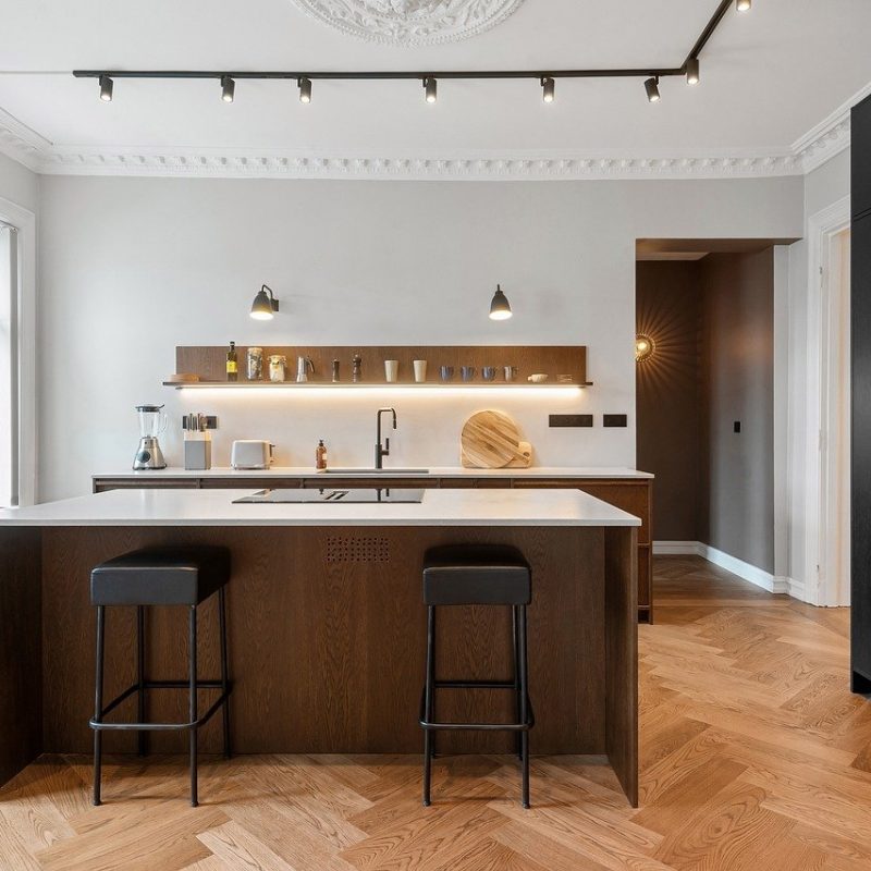 Creating Your Home Oasis: The Best Indoor Plants for Coimbatore’s Climate